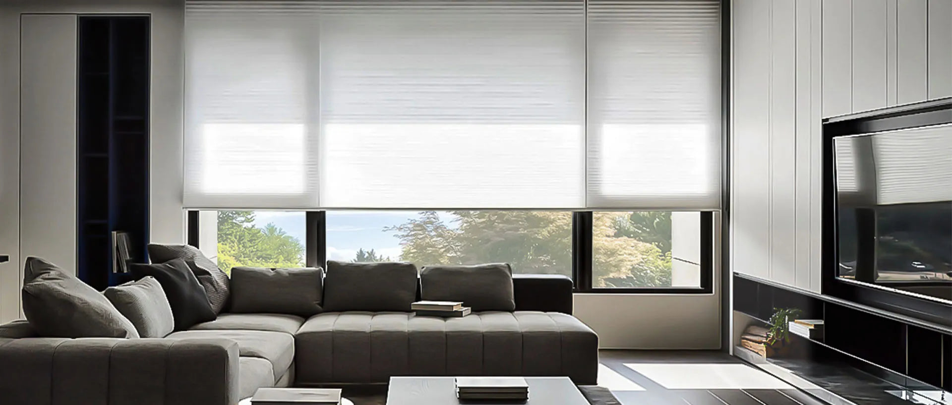 Energy-efficient cellular shades with superior insulation and light-blocking options.