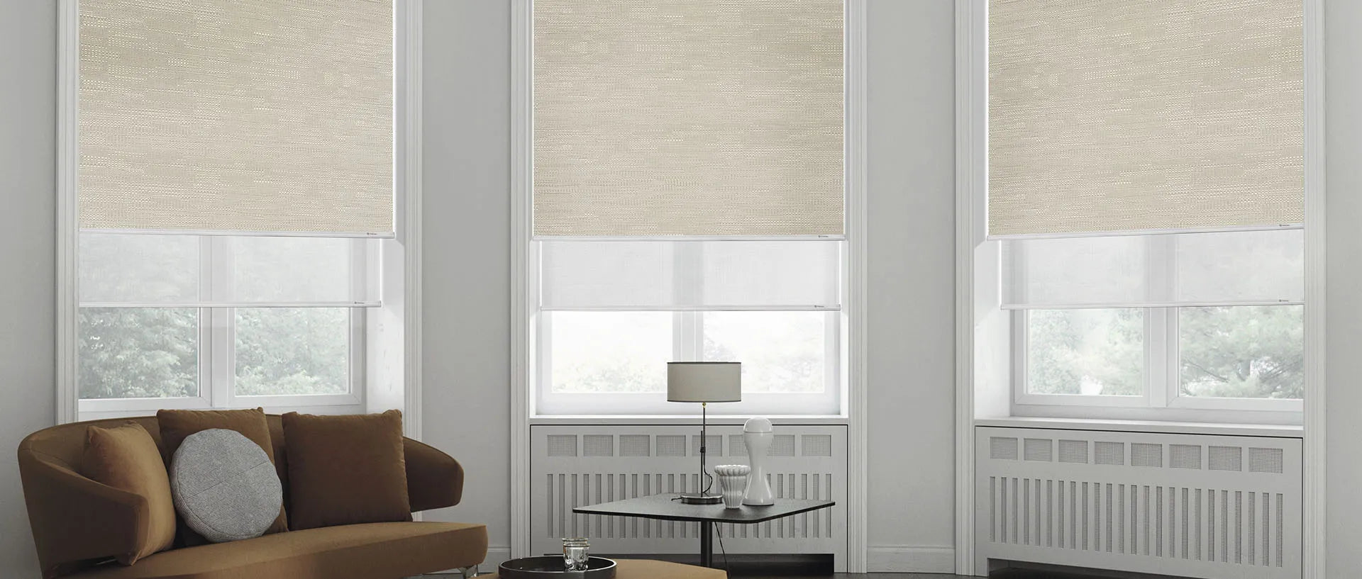 Versatile dual shades offering day-night light control and enhanced functionality.