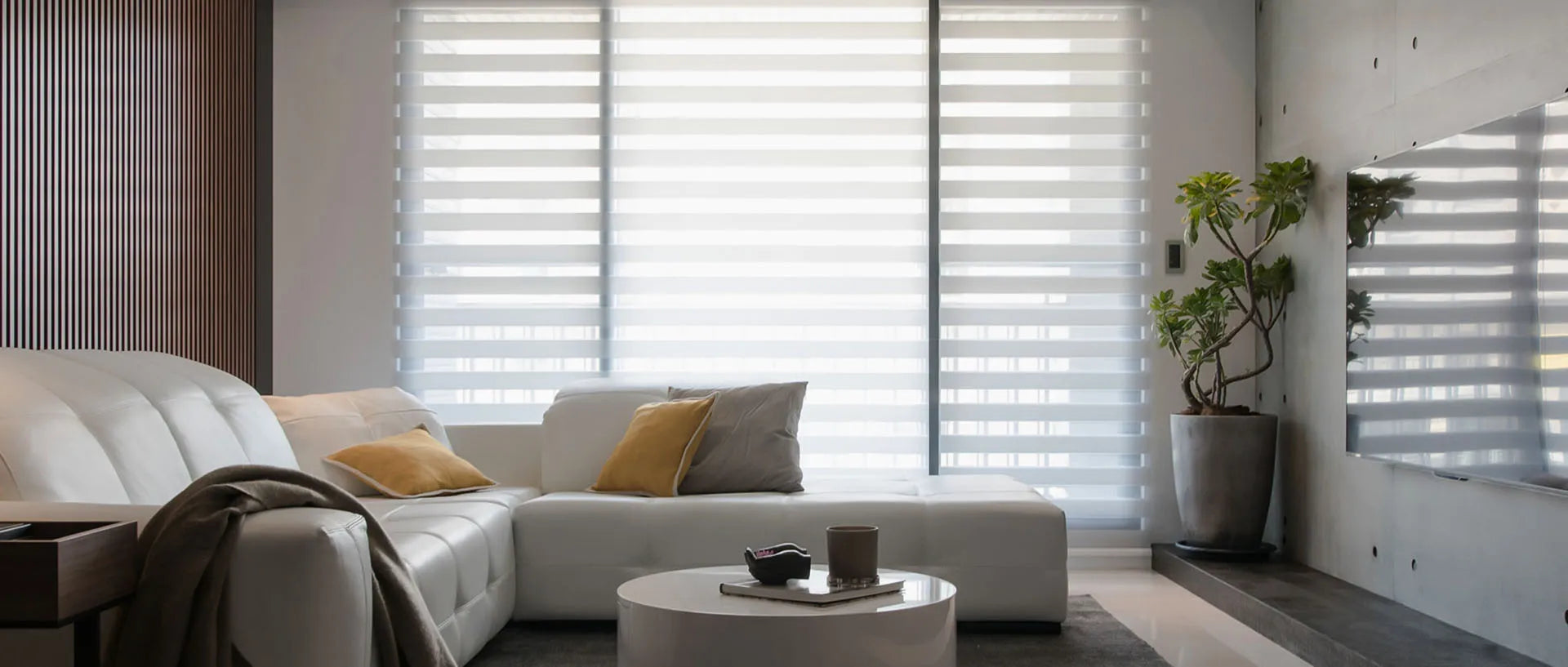 Stylish zebra shades with adjustable light filtering for privacy and aesthetics.