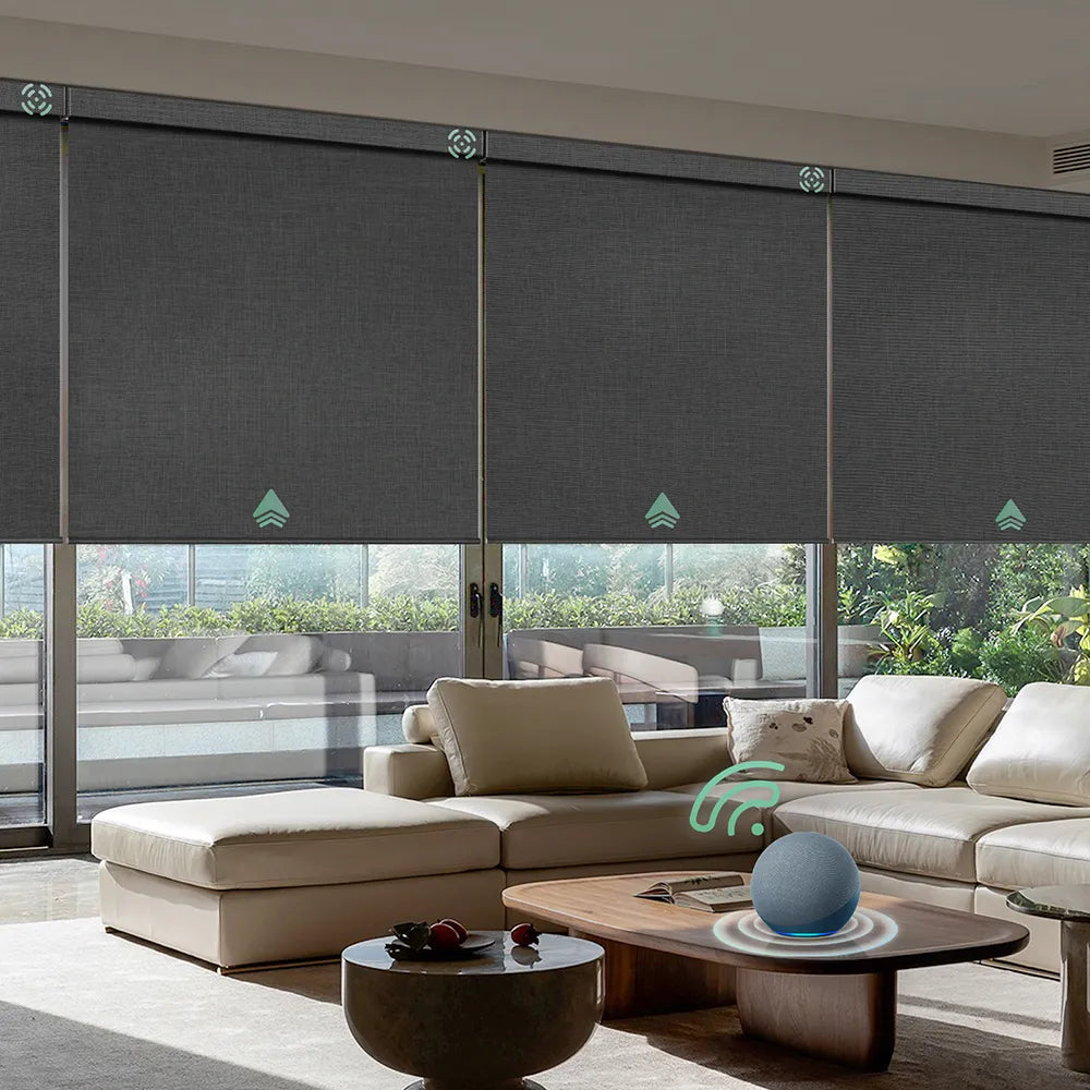 Motorized blackout roller shades with dark grey fabric, ideal for Bedrooms, Living Rooms