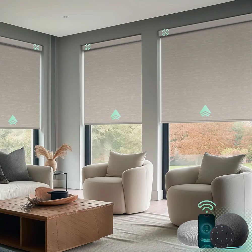 Motorized blackout roller shades with jacquard coffee fabric, ideal for Bedrooms, Living Rooms