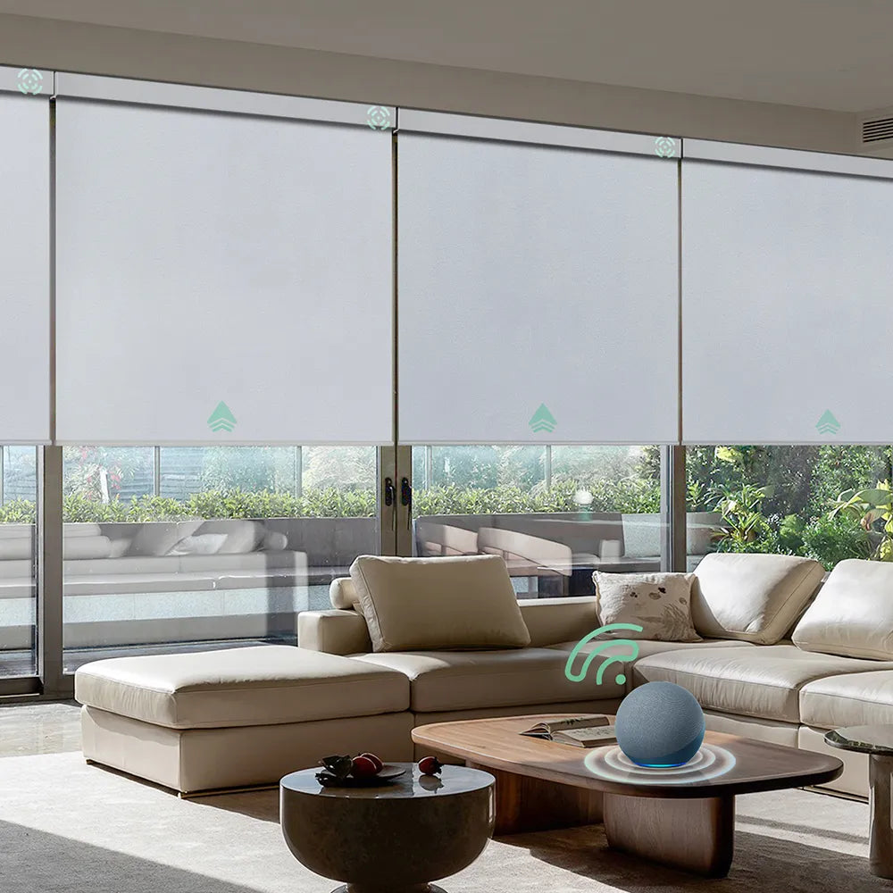 Motorized blackout roller shades with white fabric, ideal for Bedrooms, Living Rooms